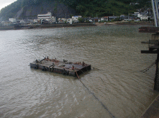 台風の大雨のお陰で泥の海となる