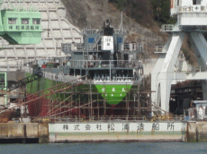 対岸より見た様子